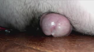 鸡巴叔叔喜欢驼背地板第 2 部分